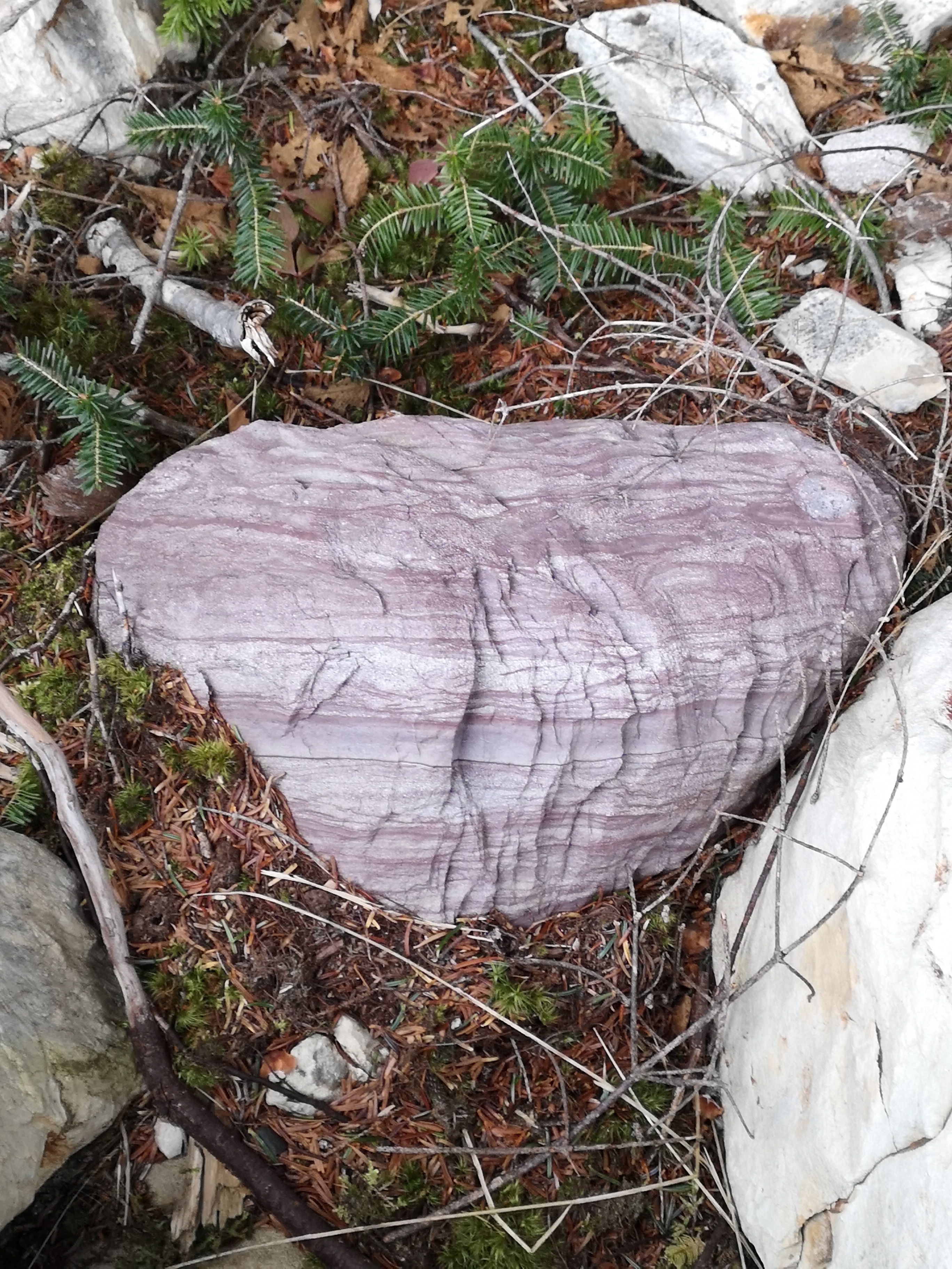 Coastal calm — pastel gradients at the shore.